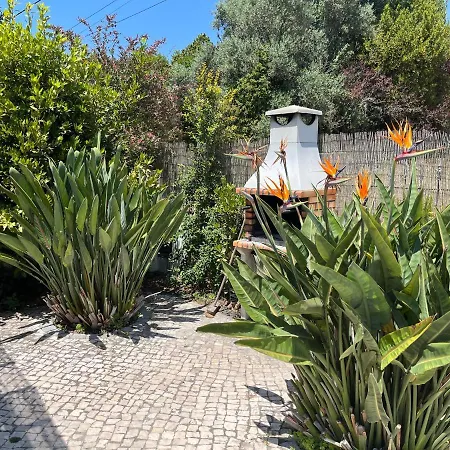 Casa Pausa